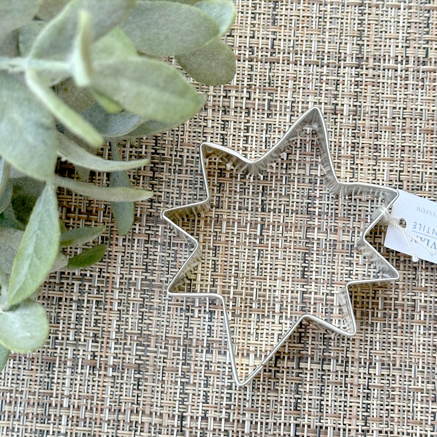 Moravian Star Cookie Cutter