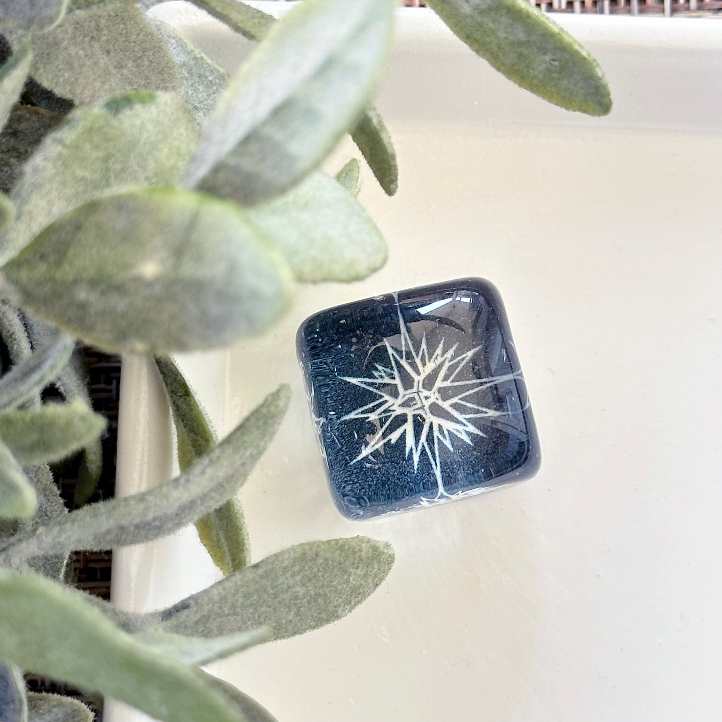 Moravian Star Magnet