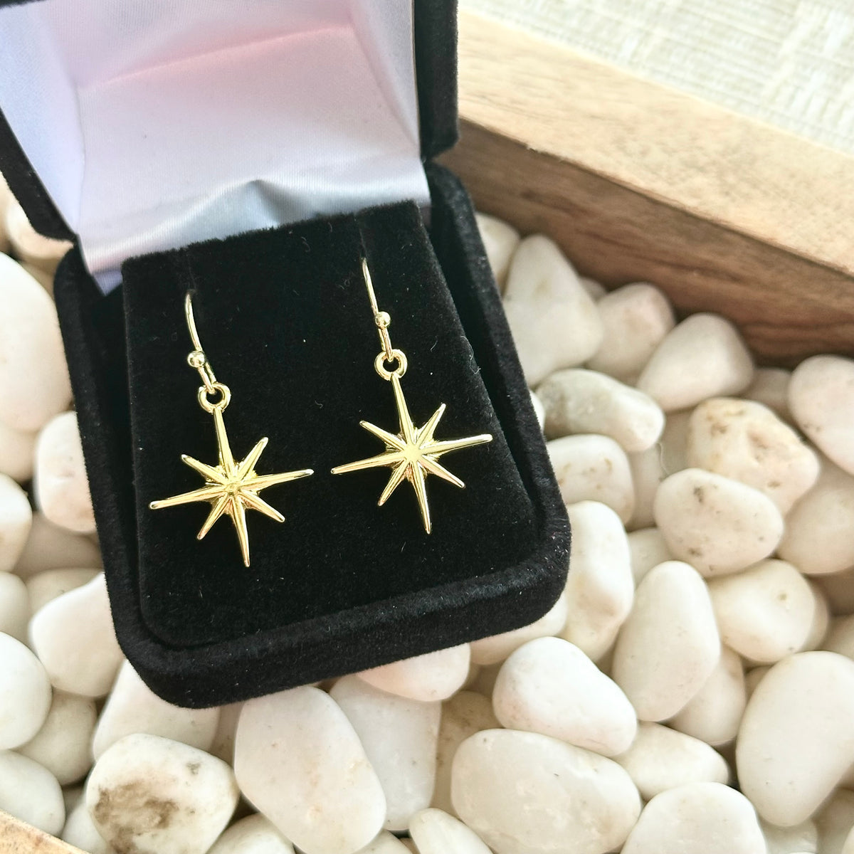 Moravian Star Earrings Classic