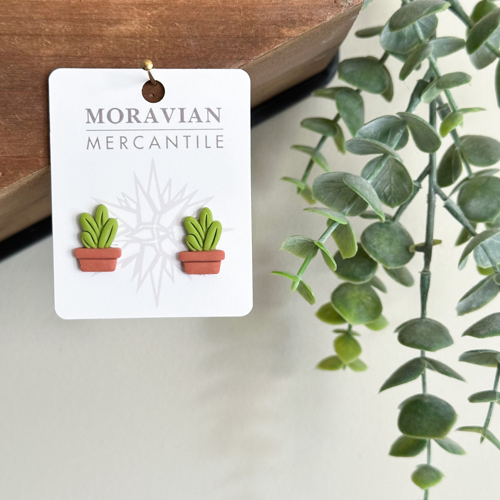 pot plant earrings Succulent Pot Earrings – VI Boutique and Moravian Mercantile